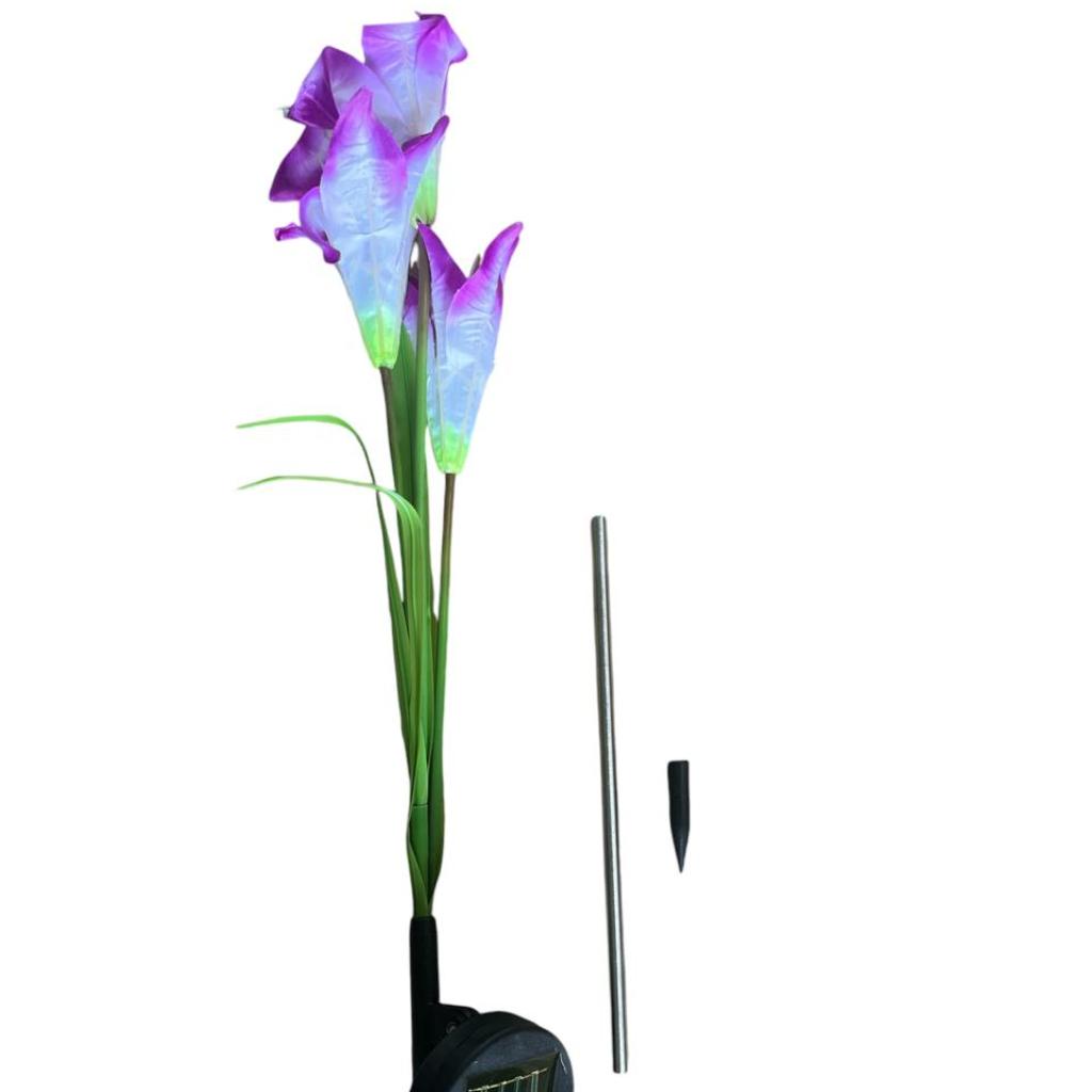 TY-HY003 COLORIZED -FLOR SOLAR DE COLORES_2